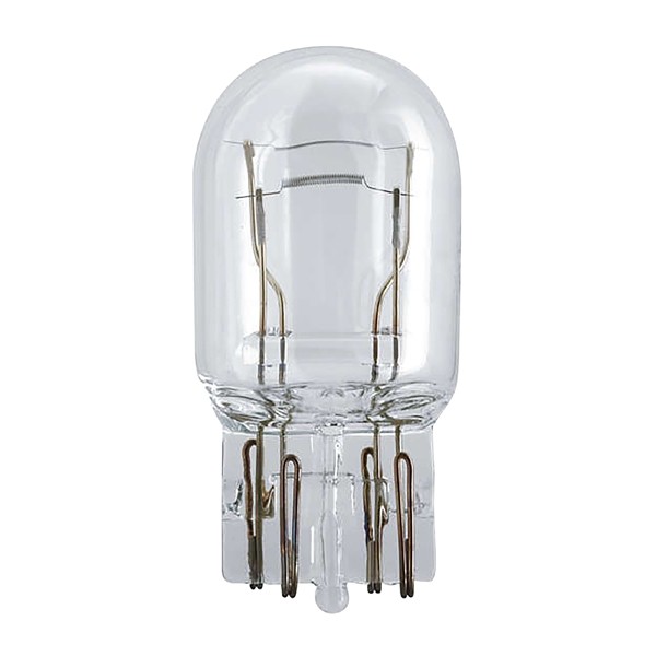 Philips T20 lampen 12066B2 12V W21/5W